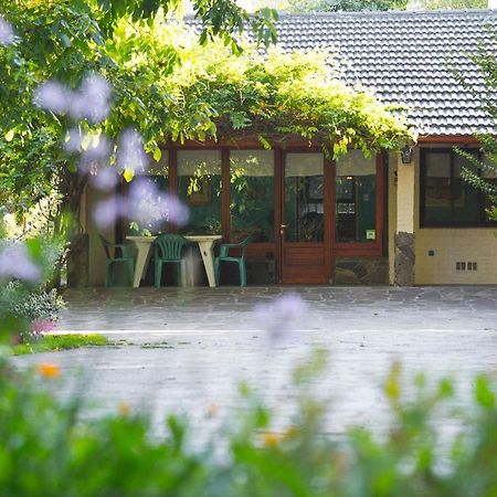 El Colibri Cabanas De La Naturaleza เตรเลว ภายนอก รูปภาพ