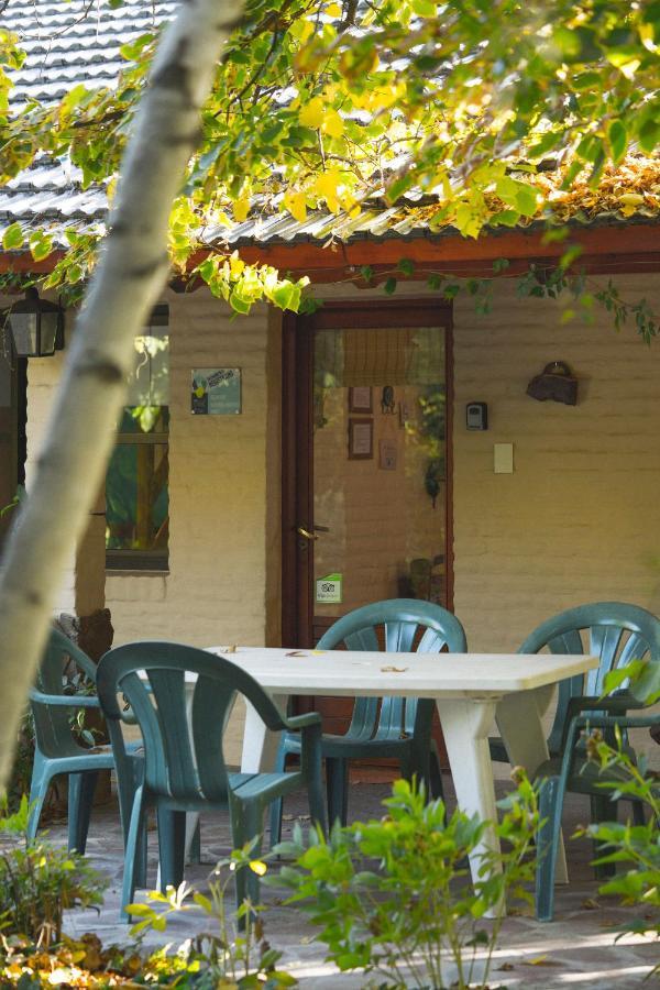 El Colibri Cabanas De La Naturaleza เตรเลว ภายนอก รูปภาพ